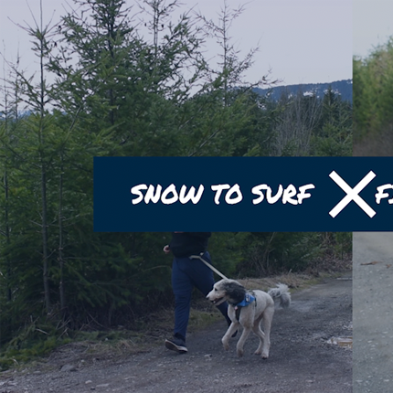 Snow to Surf